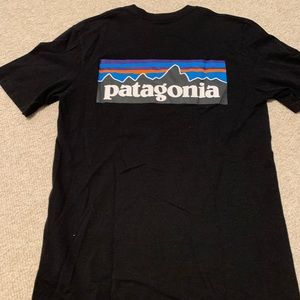Patagonia tee